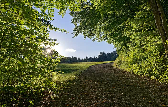 Pfingsten