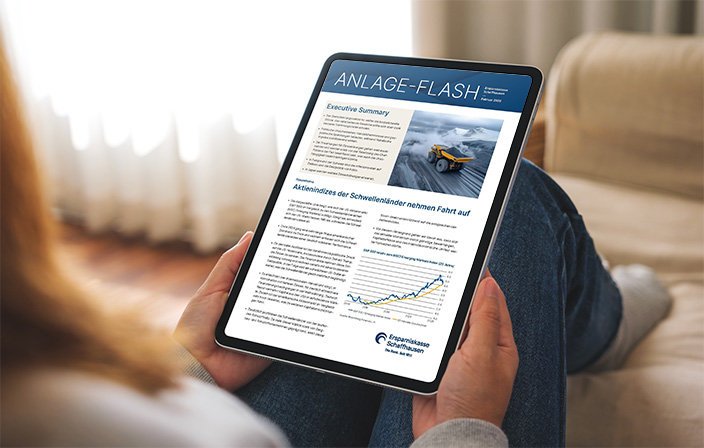 Anlage-Flash Februar 2026