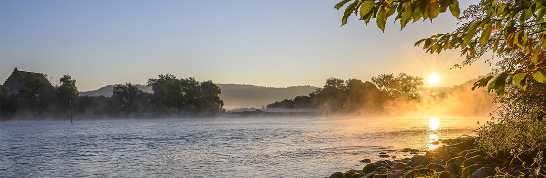 Bibermühle – Historisches Landgut am Rhein