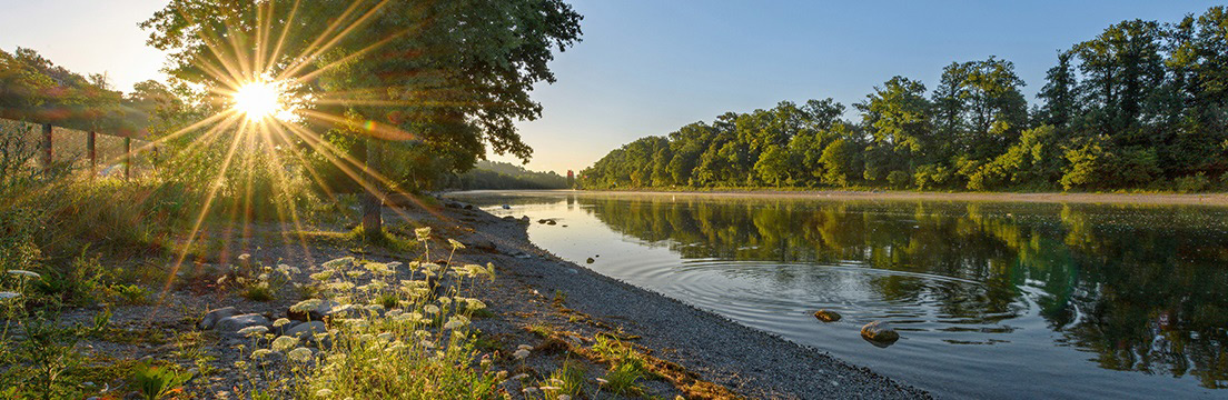 Loog – Naturidylle am Rhein bei Dörflingen