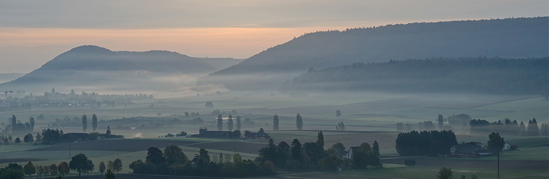 Röötibärg – Weinqualität aus dem Klettgau