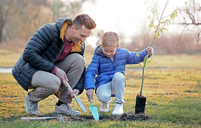 Vermögensverwaltung Future